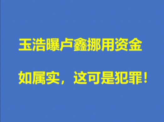 玉浩曝光卢鑫挪用公司资金,如属实这可能是犯罪!哔哩哔哩bilibili