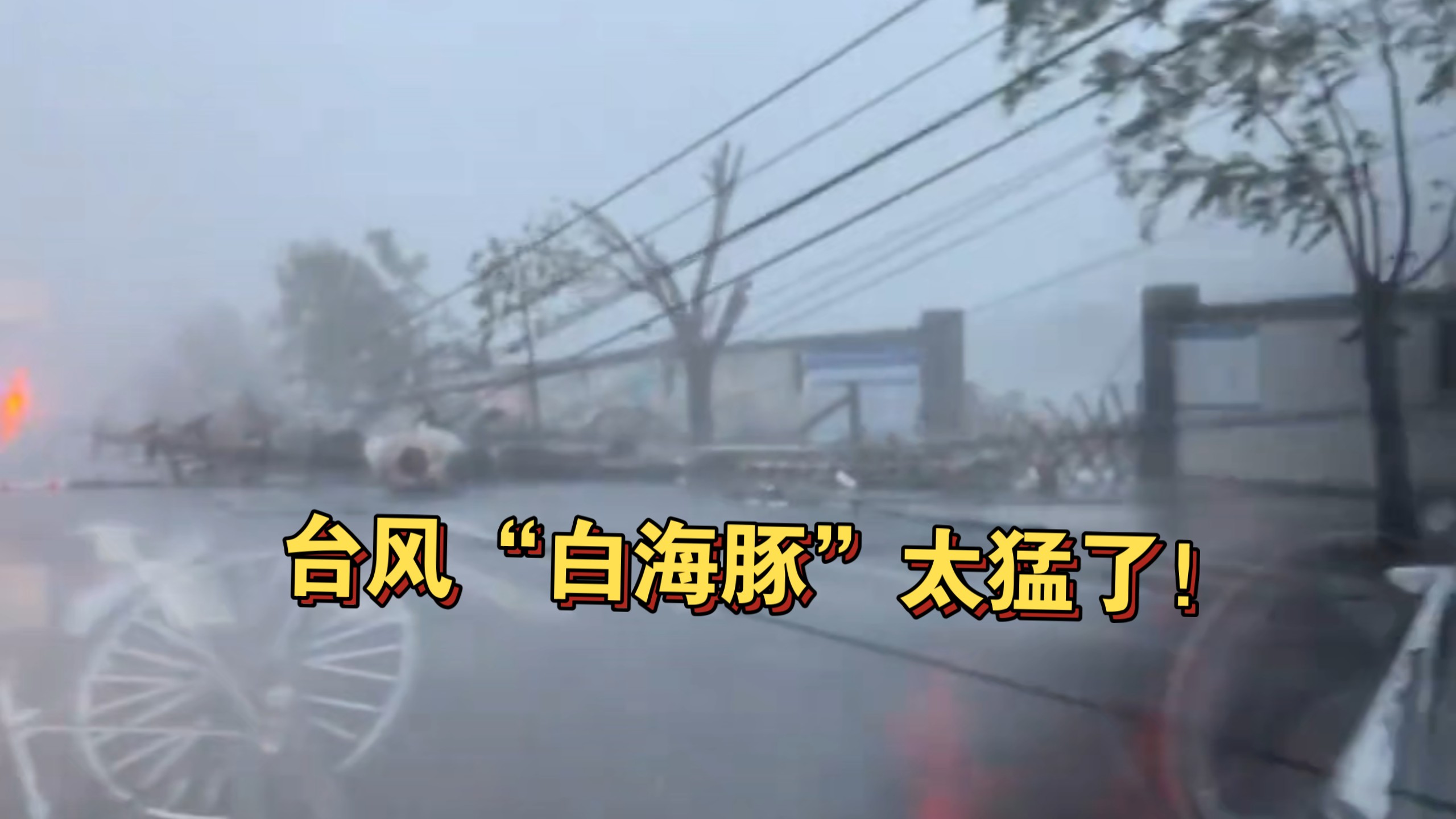 台风“白海豚”太猛了，损失惨重，路面严重积水！