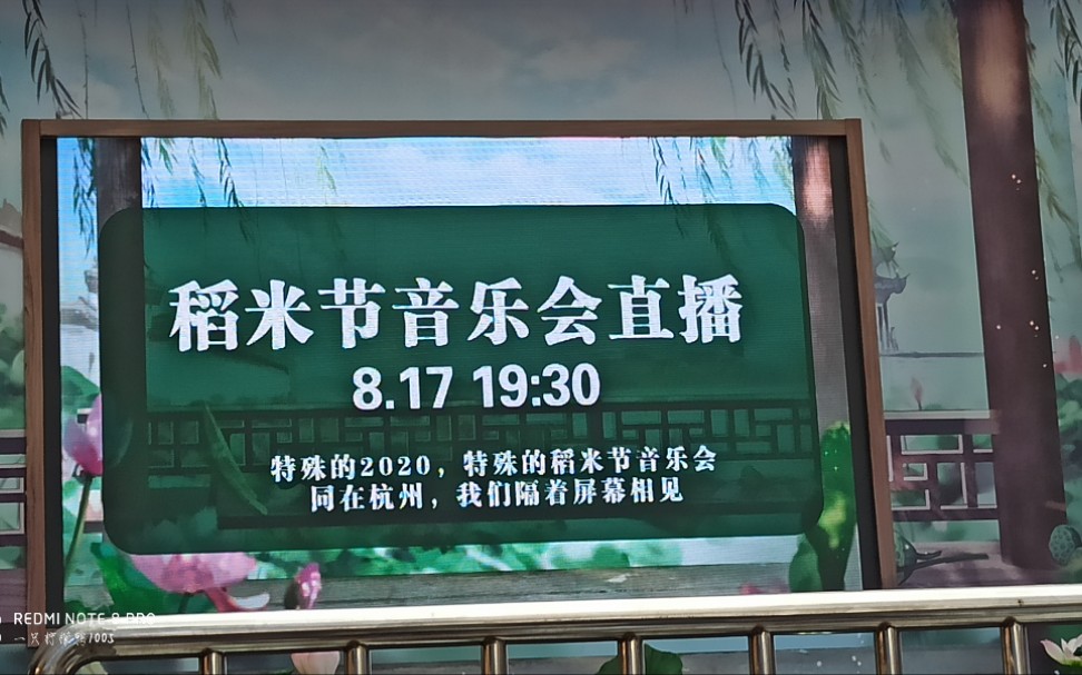 20200817八一七稻米节音乐会乐堤港线下