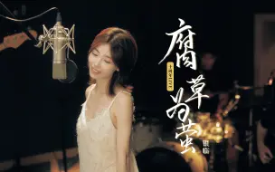 下载视频: 【银临】《腐草为萤》十周年Live | 哪里都值得，恋恋不舍