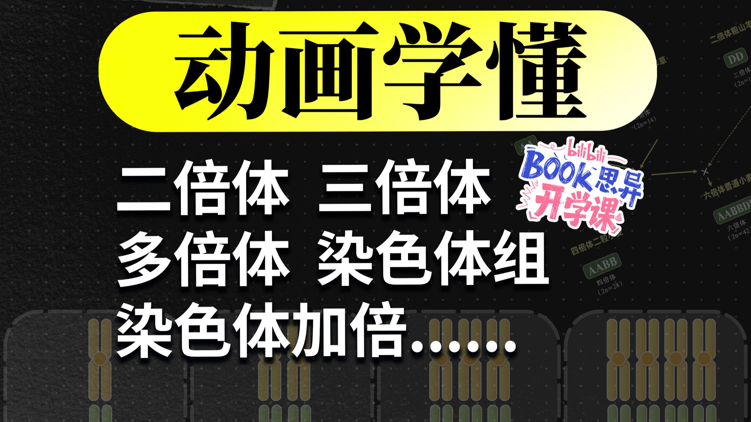 必修二卡壳这里？动画秒破染色体加倍，多倍体再也不懵了！【高中生物必修二：染色体组与染色体加倍】
