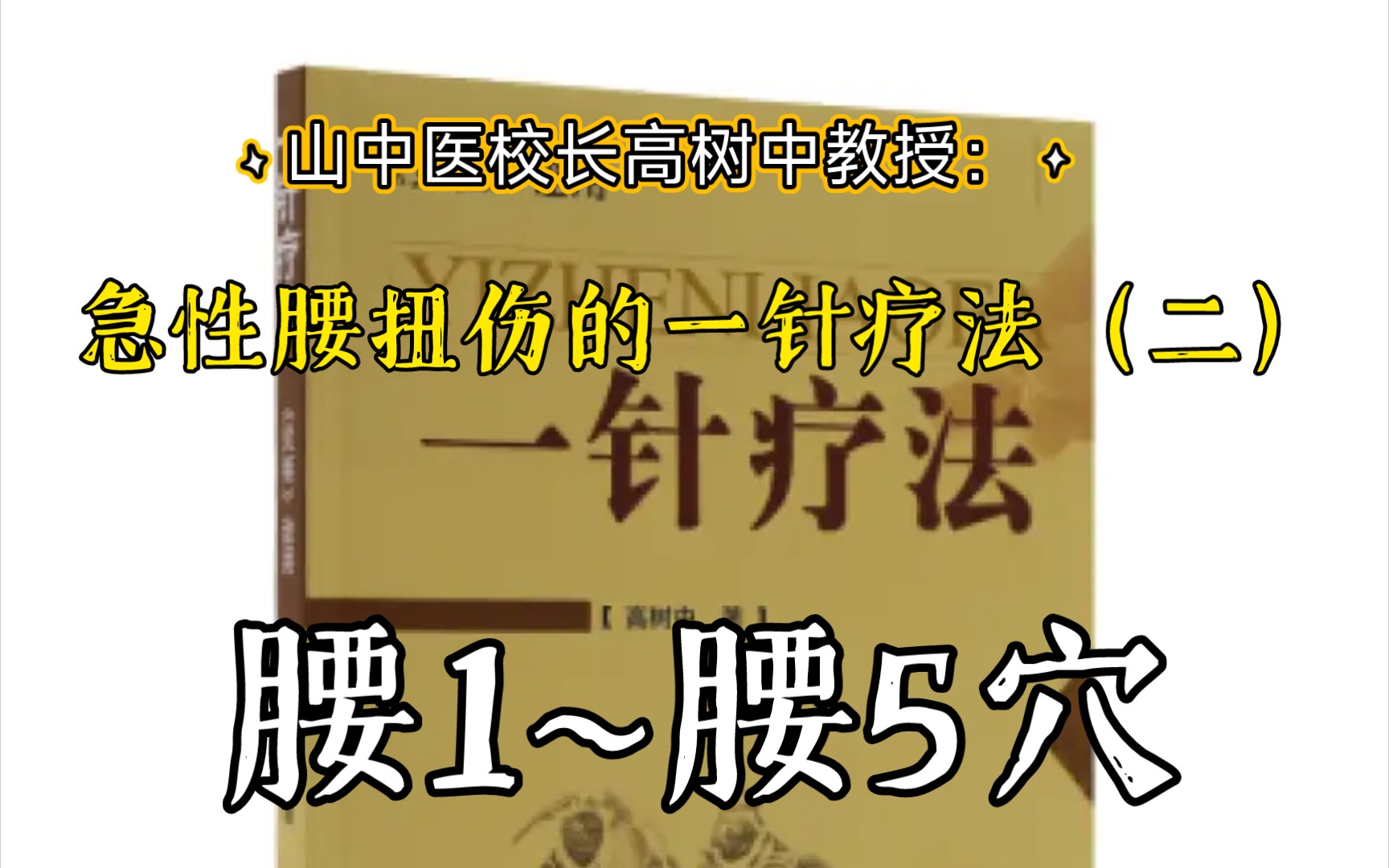 山东中医药大学校长高树中:急性腰扭伤的一针疗法(二)腰1~腰5穴的应用哔哩哔哩bilibili