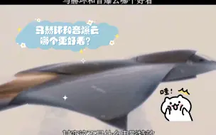 Download Video: 马赫环和音爆云哪个更好看？