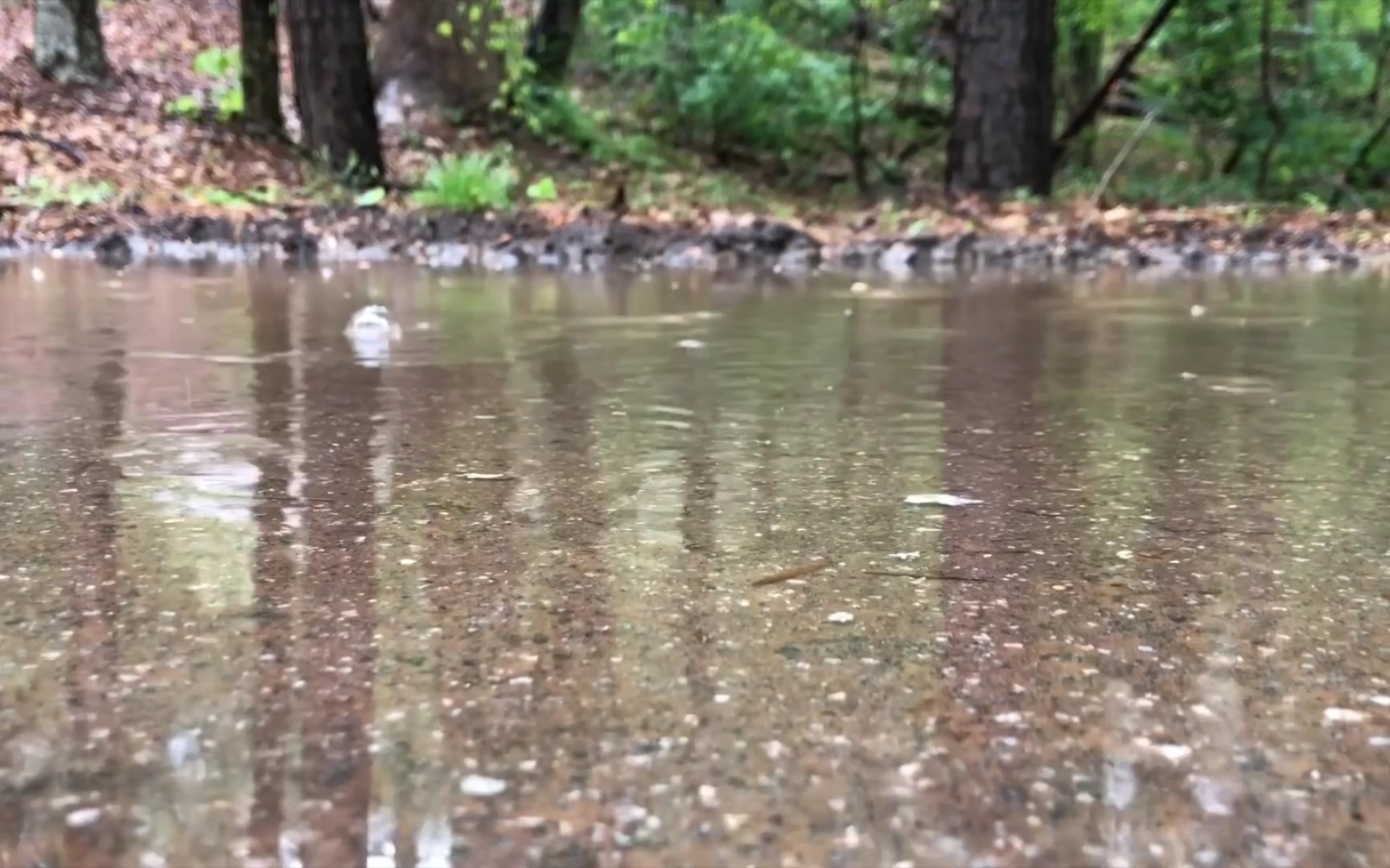 [图]【助眠】Sarah Rasmussen 雨后的小路 踩水 雨靴 泥水的声音