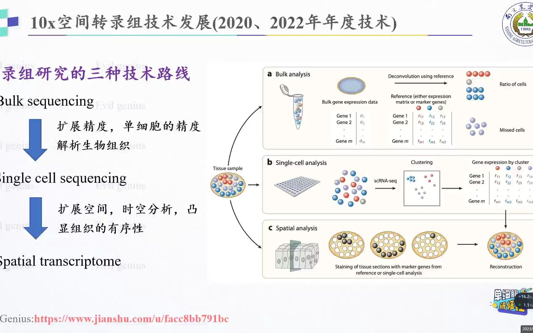 空转第一课,基础分析Seurat哔哩哔哩bilibili