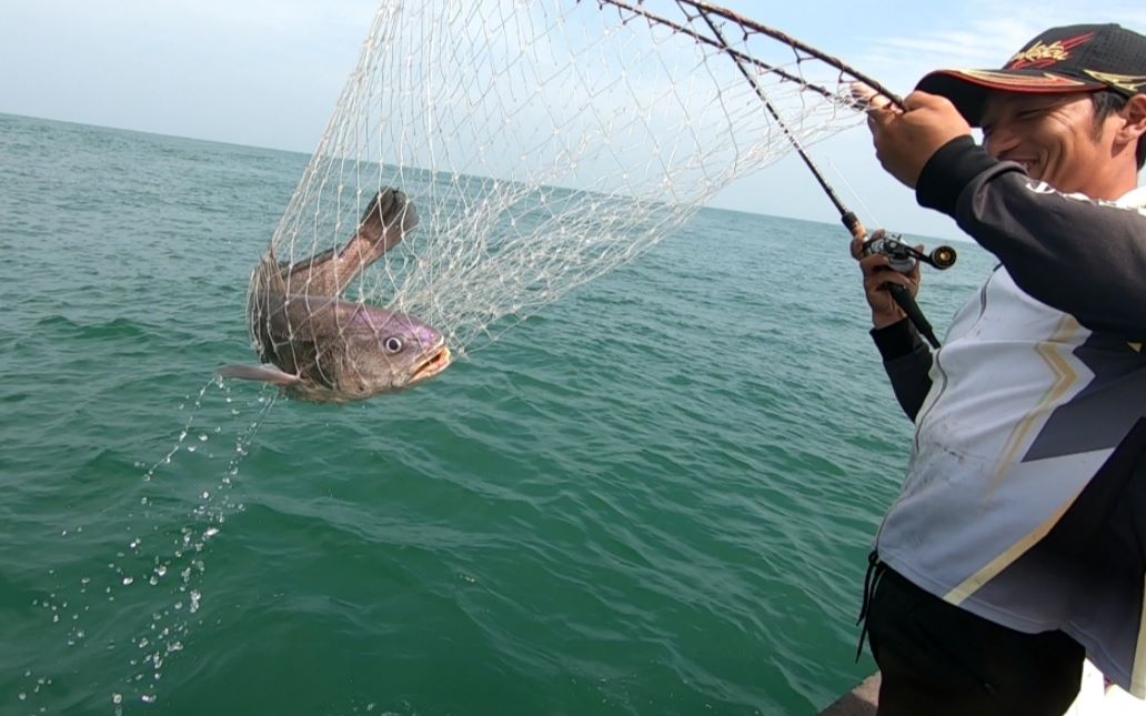 阿杰今天去钓大米鱼,看朋友上一条20斤左右的米鱼,阿杰能钓到吗_哔哩