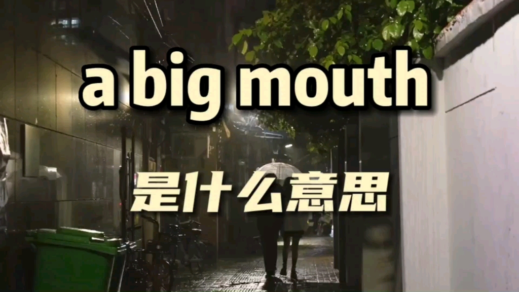 a big mouth是什么意思哔哩哔哩bilibili