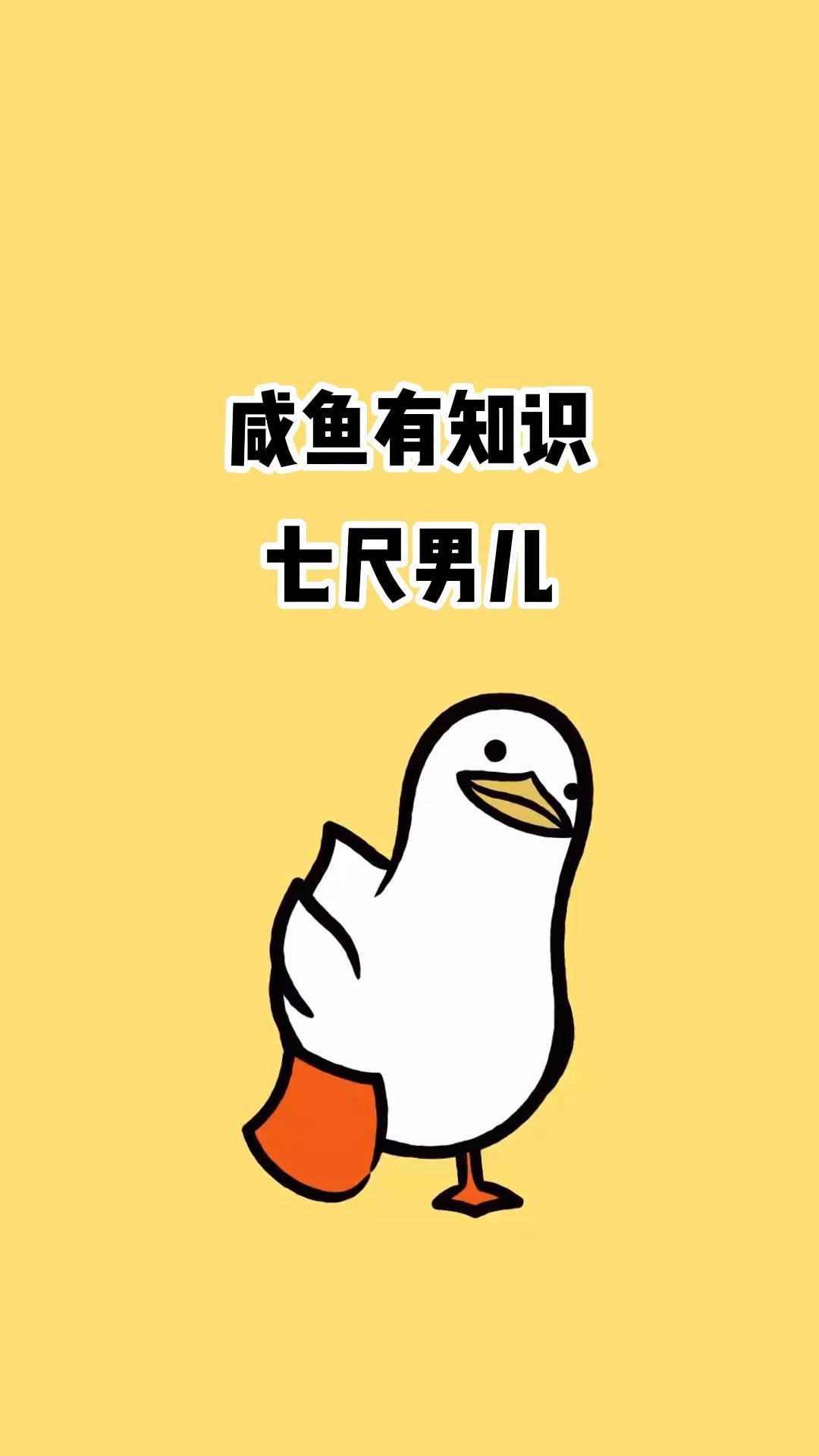 七尺男儿哔哩哔哩bilibili