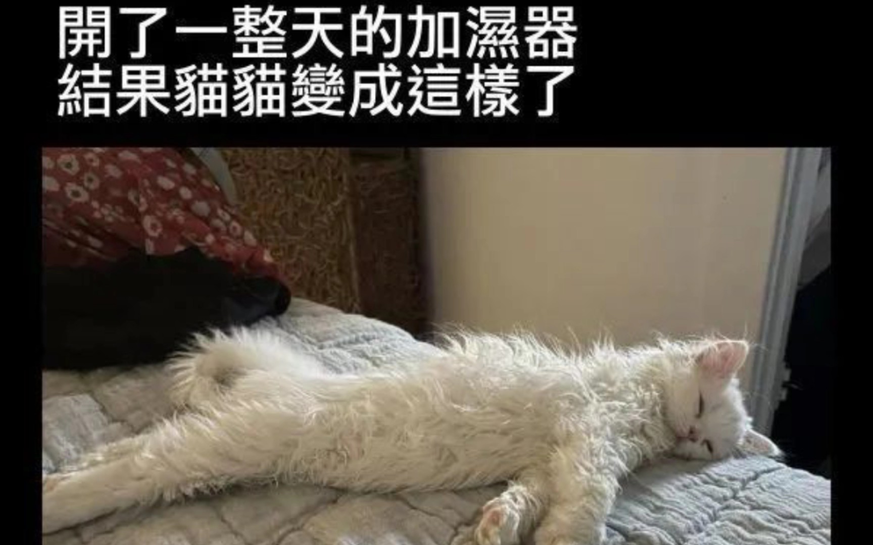 网络上的那些好笑的沙雕图合集【第28期】_哔哩哔哩_bilibili