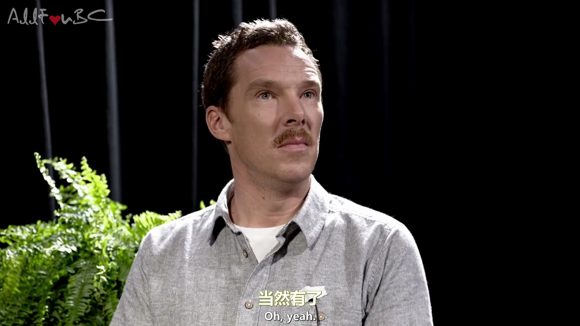 【AllForBC字幕组】【1080P】蕨间访谈Between Two Ferns The Movie本尼CUT加长版哔哩哔哩bilibili