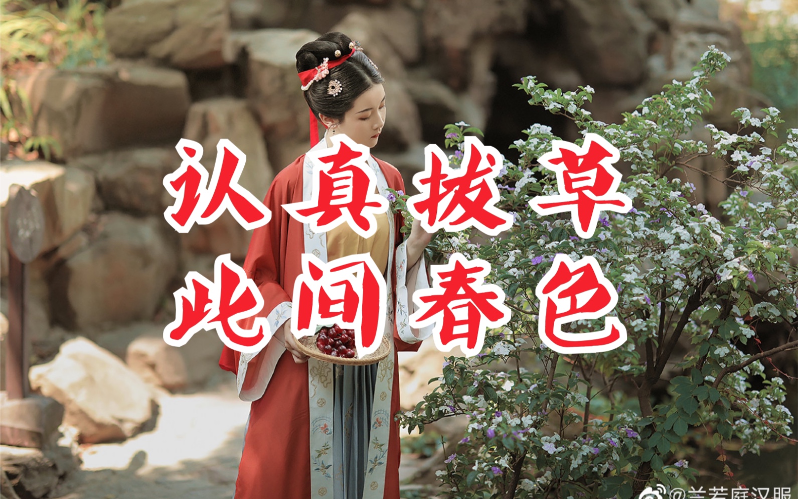 兰若庭【此间春色】拔草!情敌们你们好,5.11准备好了吗