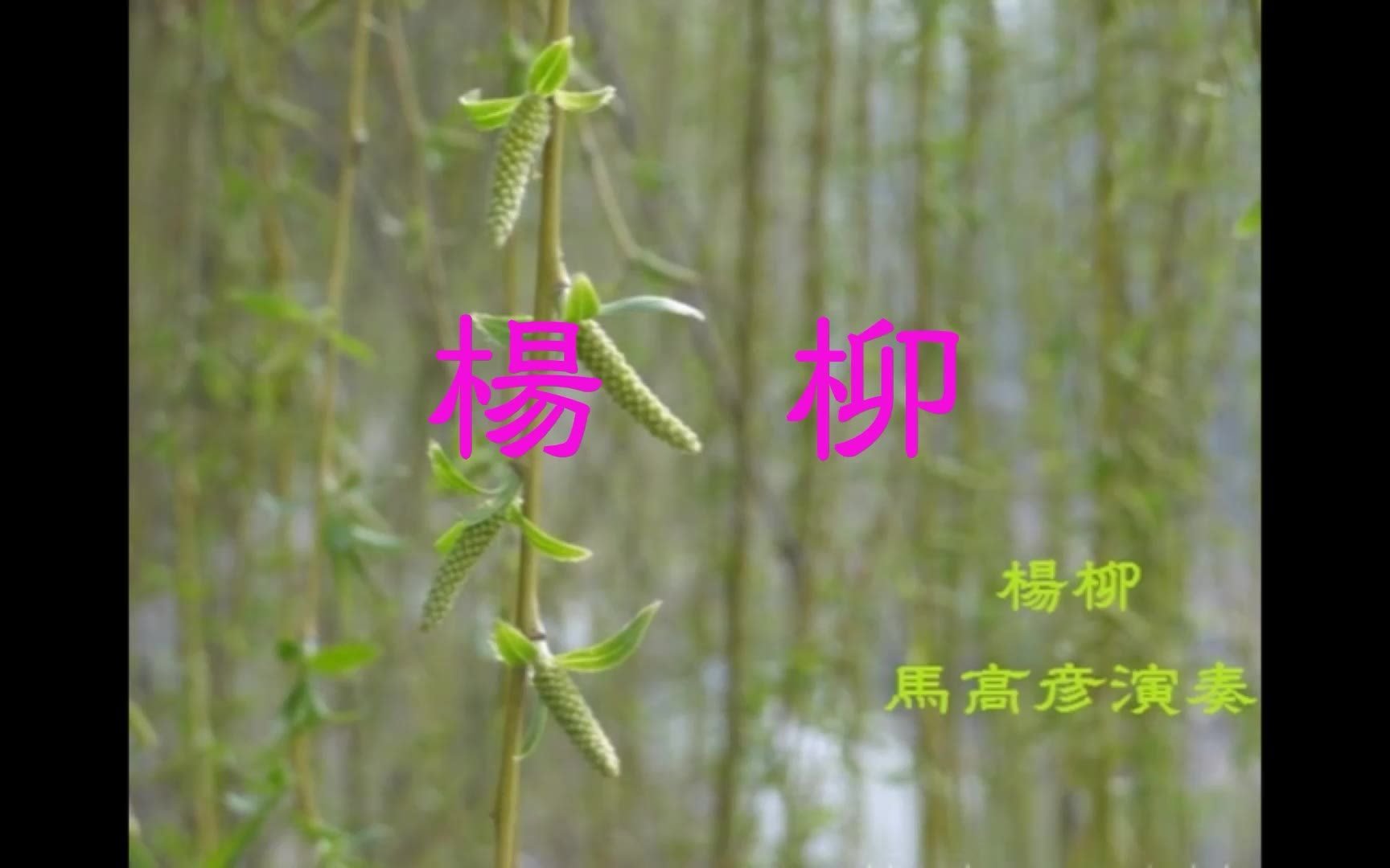 马高彦二胡 杨柳