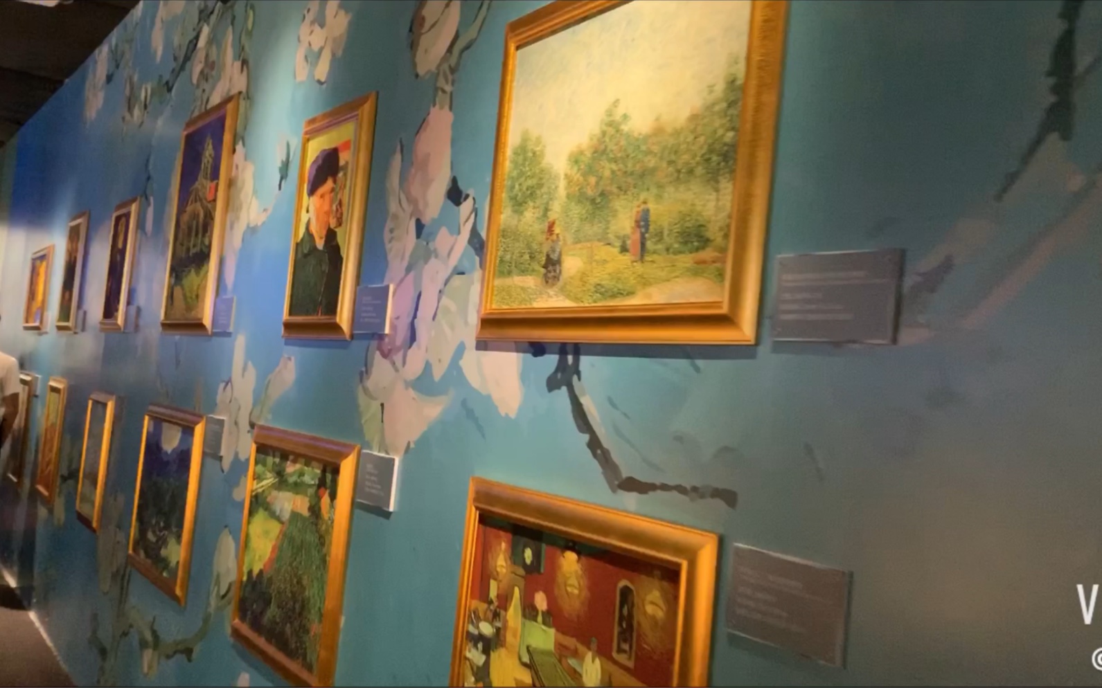 国家博物馆梵高展_哔哩哔哩_bilibili