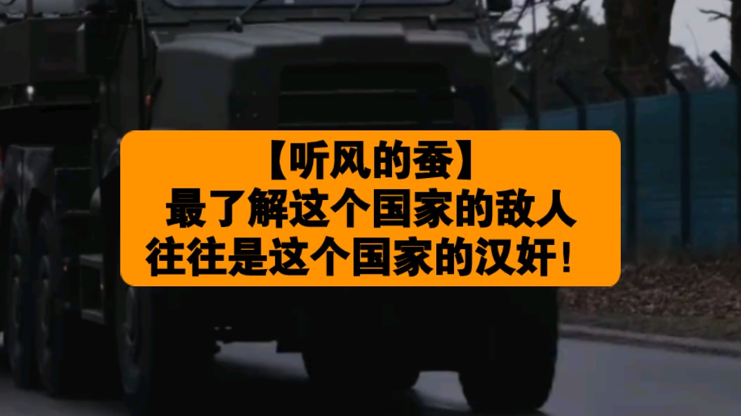 【听风的蚕】最了解这个国家的敌人,往往是这个国家的汉奸!哔哩哔哩bilibili