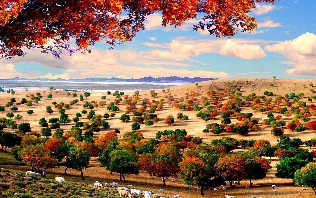 96版电视剧《承诺》 算不算可惜bgm