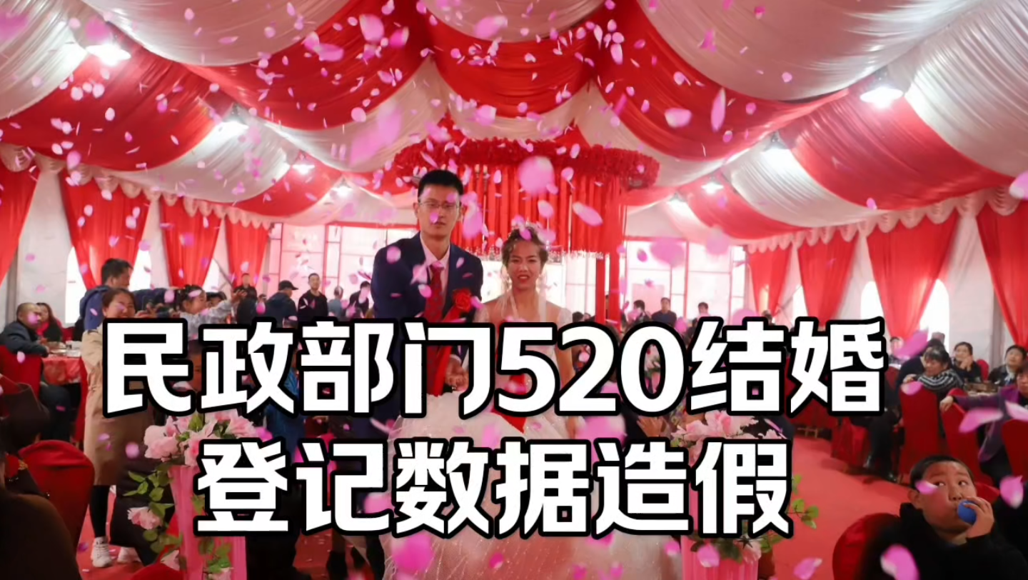 结婚登记数据造假,民政部门玩砸了.#婚姻登记哔哩哔哩bilibili