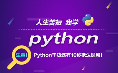 python全栈工程师项目开发,仅此一次(爬虫、数据库、网站)哔哩哔哩bilibili