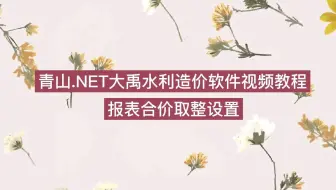 青山.NET大禹水利造价软件视频教程 报表合价取整设置