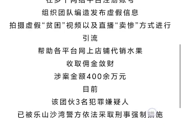 公安机关查处网络谣言丨摆拍“卖惨”虚假视频引流,抓!哔哩哔哩bilibili