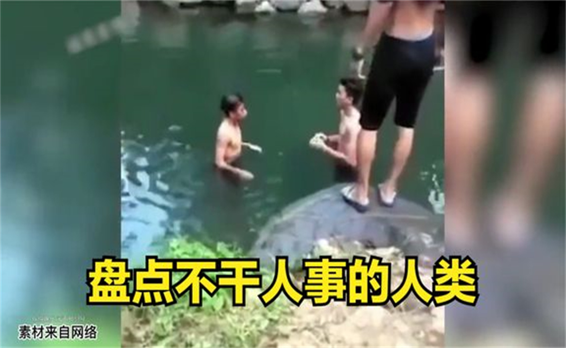 [图]盘点不干人事的人类，太损了拜托做回人吧，友谊的小船说翻就翻