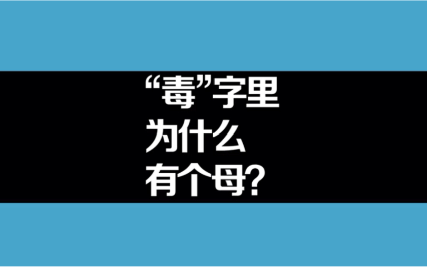 毒字里为什么有个母?哔哩哔哩bilibili