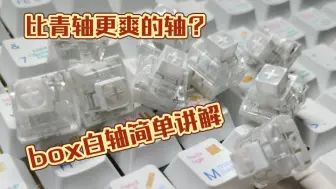 比青轴更爽的轴体 box白轴简单讲解