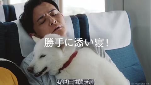014期 中文字幕 日本softbank电视广告cm 勝手hero 登場 篇 30秒 松本人志 优秀广告创意视频tvc推荐 哔哩哔哩