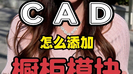 CAD橱柜模块怎么添加?#全屋定制设计#橱柜设计#CAD教程#CAD命令#零基础#CAD图纸哔哩哔哩bilibili