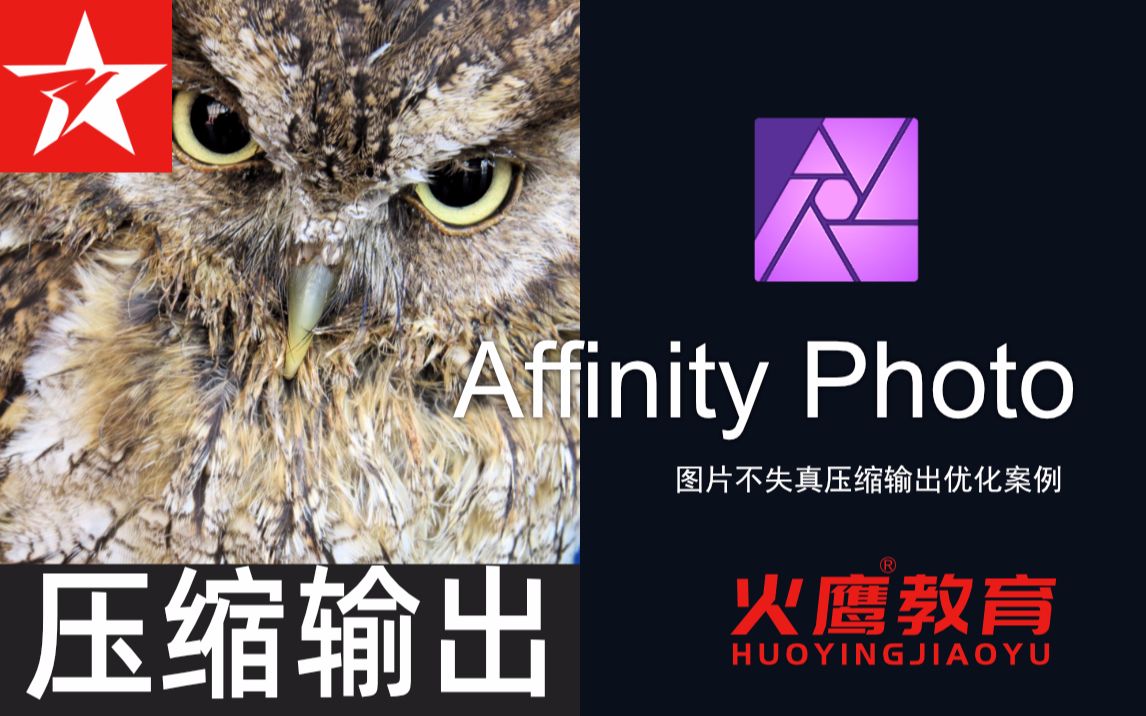 155Affinity Photo图片不失真压缩输出优化案例哔哩哔哩bilibili