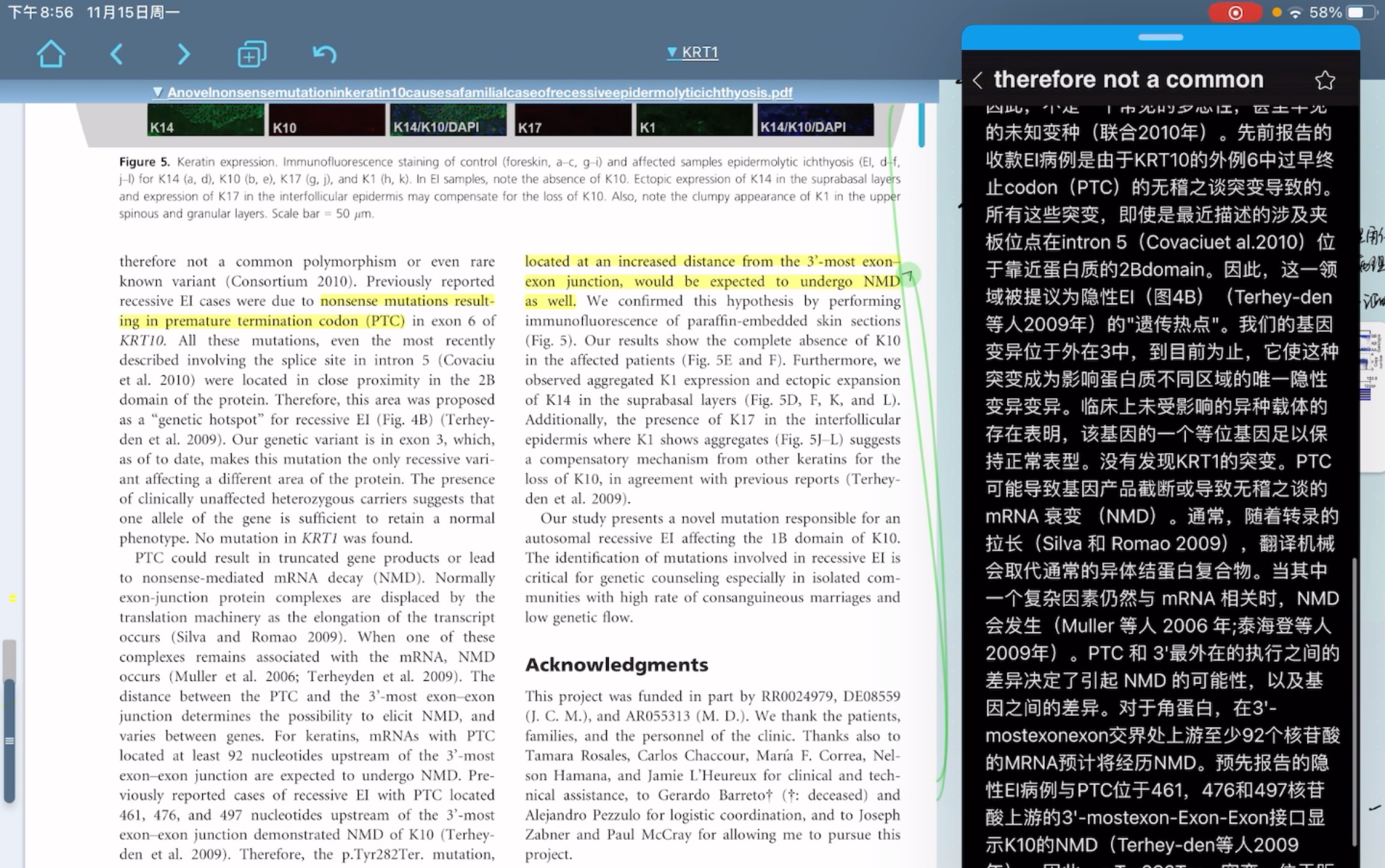 [图]PDF沉浸式阅读（liquidtext+endnote+欧陆词典+PDF Expert的联合使用）