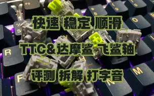 Download Video: TTC&达摩鲨 飞鲨轴 - 快速 顺滑 小弹片 稳定 类快银手感【轴体评测】