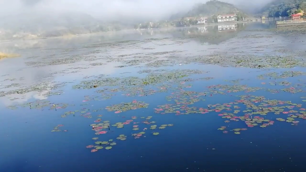 [图]五指山上云雾缭绕的清晨