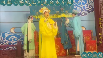川剧《蟒蛇记》连台本片段、张春元：伍玉 饰、张春芳：陈家兴 饰、张李氏：陶兴蓉 饰202506213成都三花韵川剧团＃传递戏曲文化