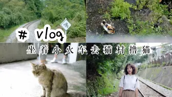Vlog5 台湾环岛之旅1 野柳 十分 猴硐猫村 九份 哔哩哔哩 Bilibili