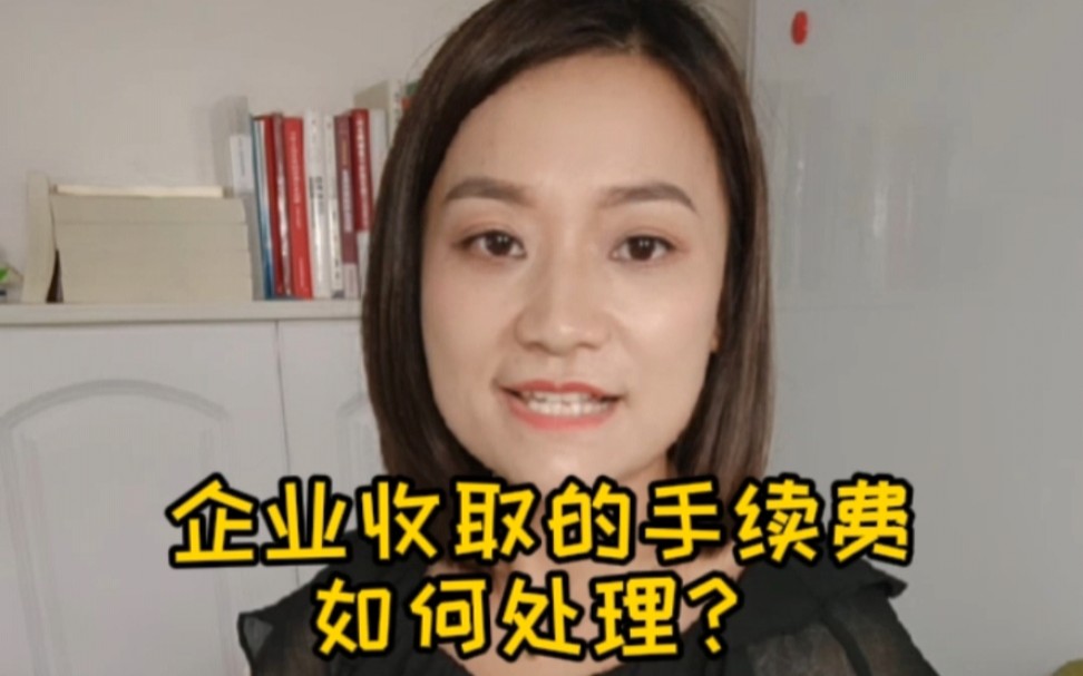 企业收取的手续费如何处理?哔哩哔哩bilibili