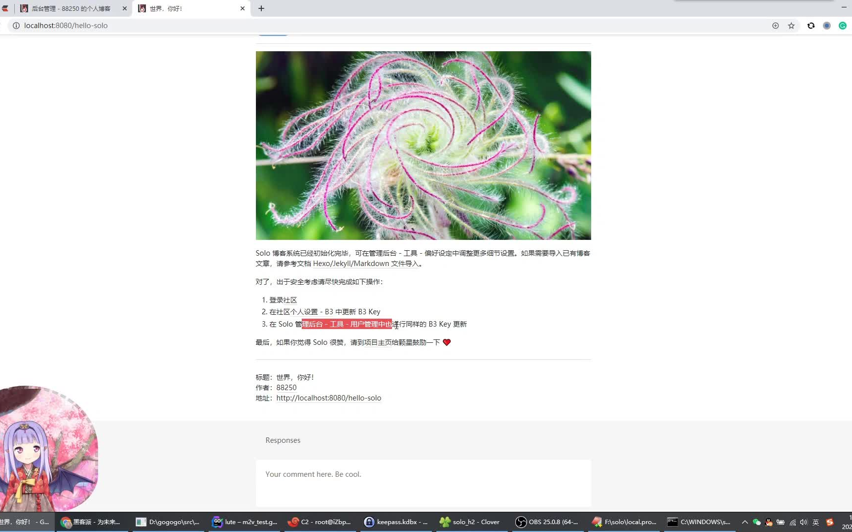 本地 localhost 搭建运行 Java 开源博客系统 Solo https://github.com/88250/solo