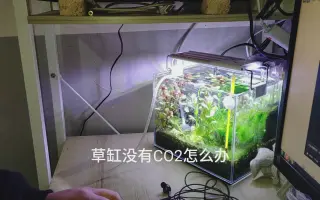 自制co2 搜索结果 哔哩哔哩 Bilibili