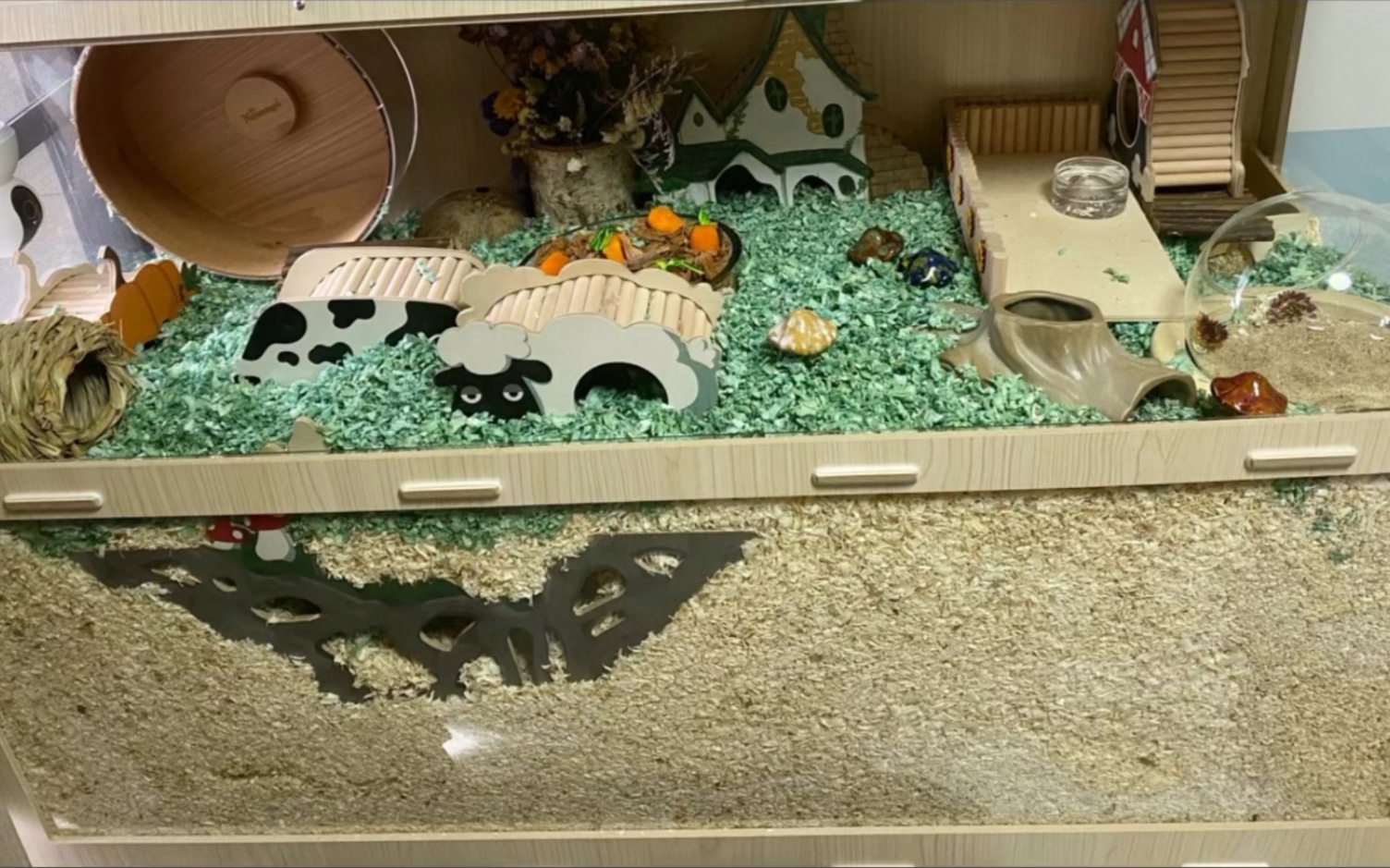 仓鼠笼造景——甘蓝的小农场