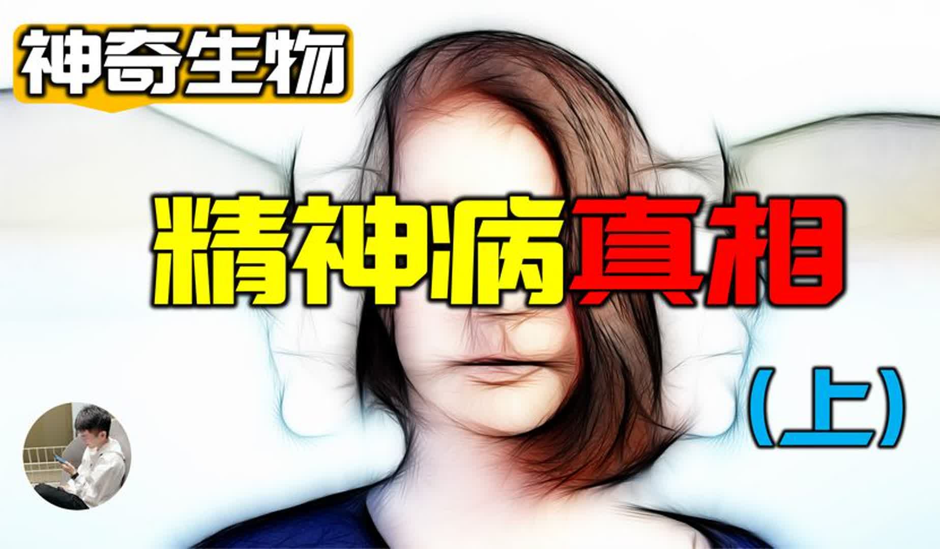 疯子是如何定义的?震撼的精神学历史,正常人如何证明自己正常哔哩哔哩bilibili