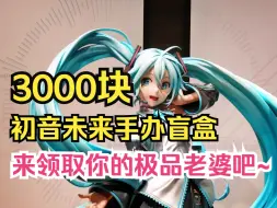 Download Video: 3000元初音未来盲盒，快来领取你的极品老婆！