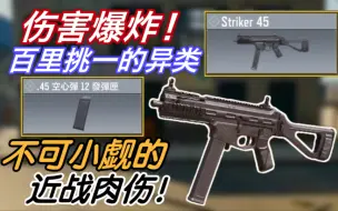 Download Video: 不愧是Kilo-141的“亲儿子”！新枪Striker45近战压制力究竟有多离谱？？【CODM-Striker45武器性能解析】