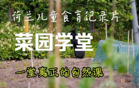 [图]《菜园学堂》辛苦播种，细心照料农作物，就一定有收获！来自荷兰的儿童食育教育纪录片