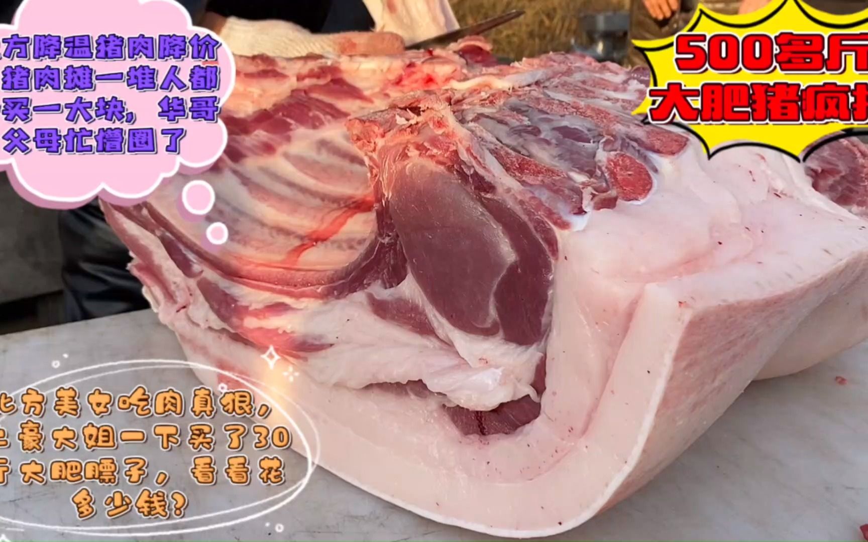 北方500斤大肥豬瘋搶,土豪大姐買30斤大肥肉膘子,看看花多少錢