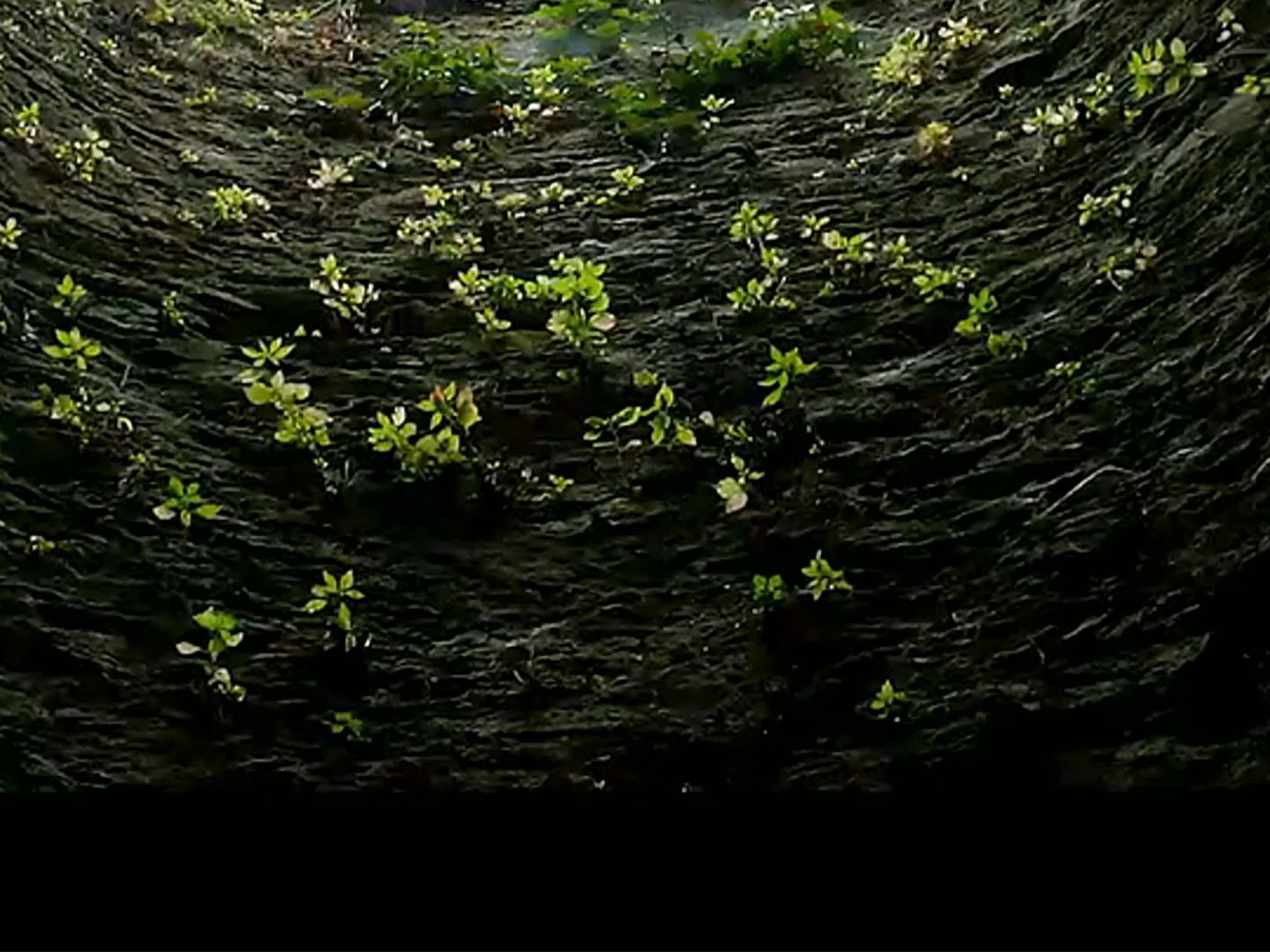 林萧地理2024我有