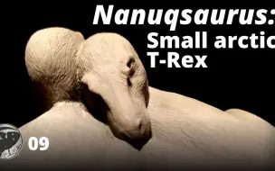 Download Video: 【模型制作】雕刻已灭绝的生物：白熊龙 Nanuqsaurus