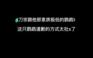 下载视频: 这只鹦鹉道歉的方式笑死我了