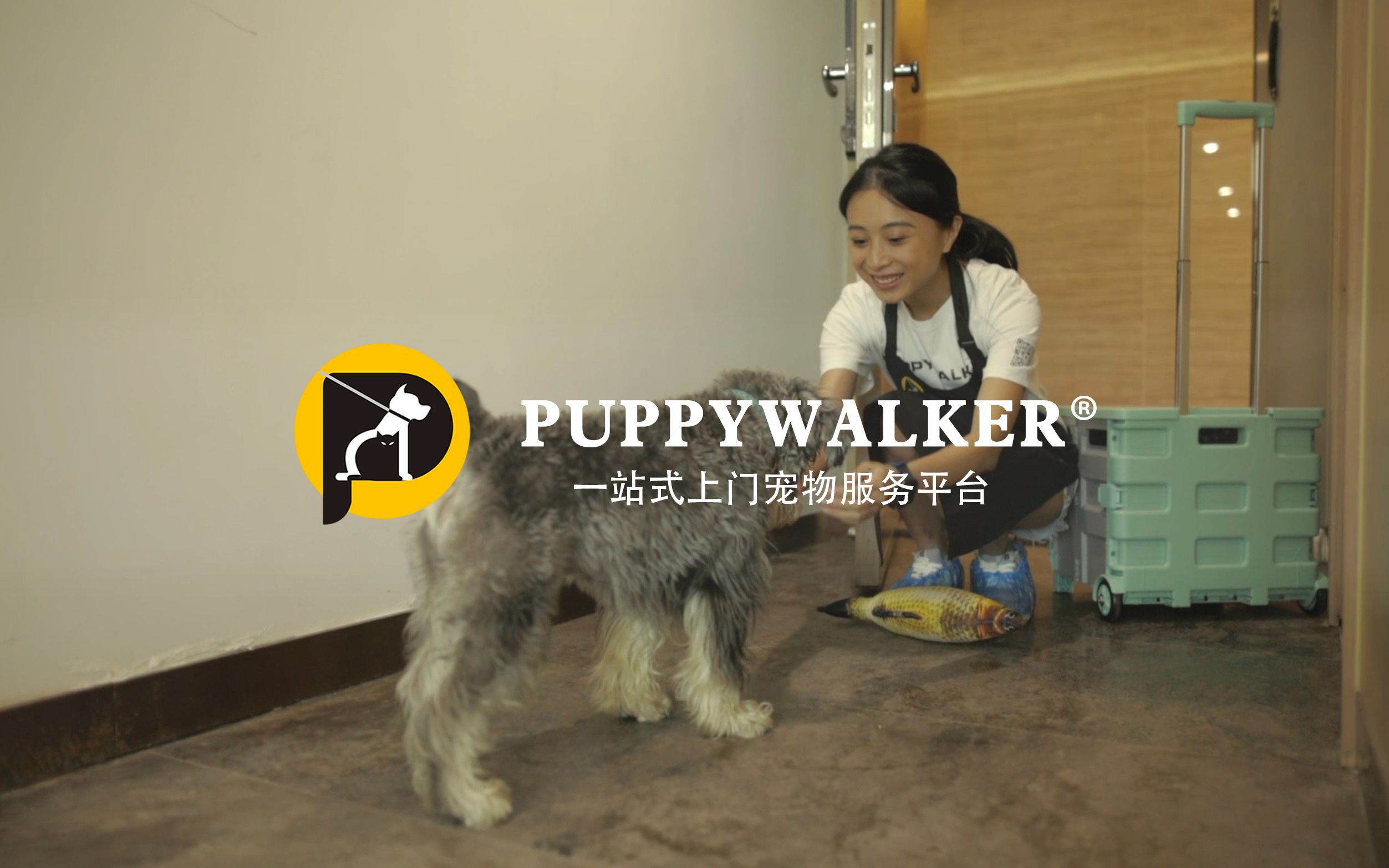 Puppywalker萌宠在家ⷤ𘊩—讐Š宠物生活服务品牌宣传视频,提供一站式上门宠物服务.哔哩哔哩bilibili