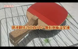 Video herunterladen: 银河翻转式日直(中)-颗粒倒板流星锤