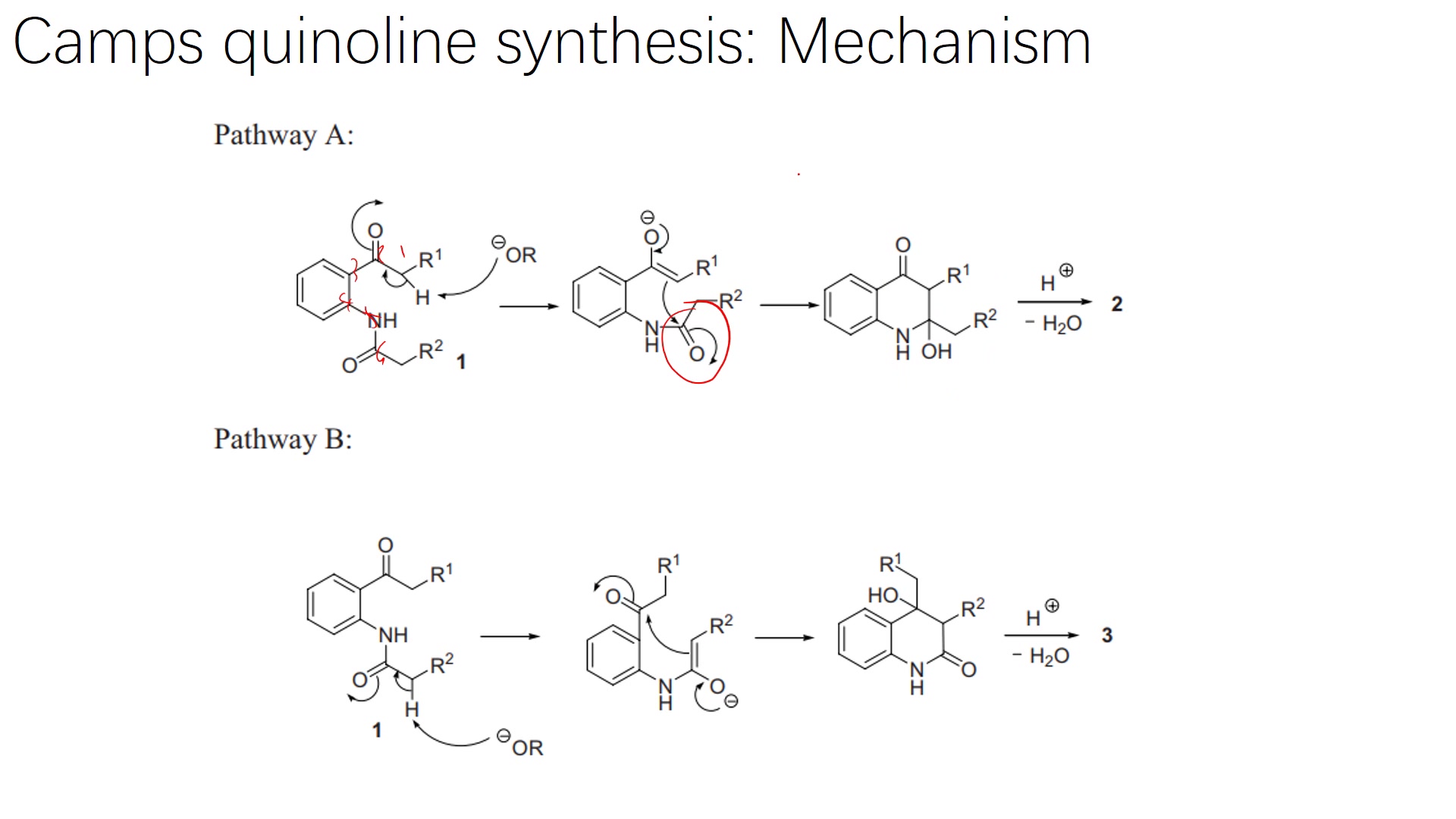 有机人名反应(44):Camps quinoline synthesis哔哩哔哩bilibili