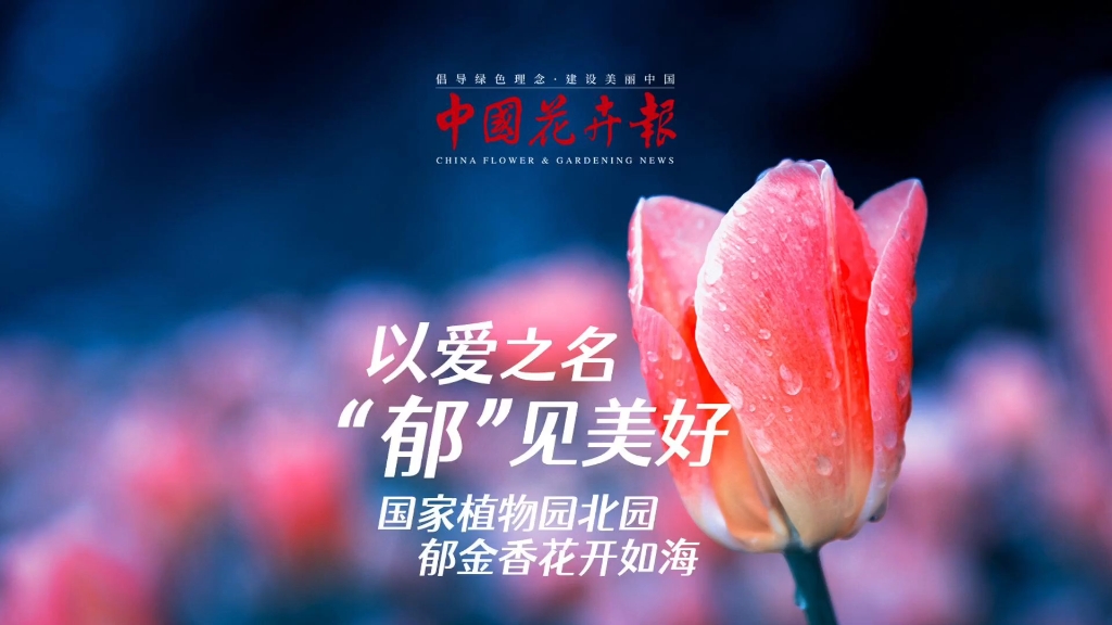 中国花卉报总编图片